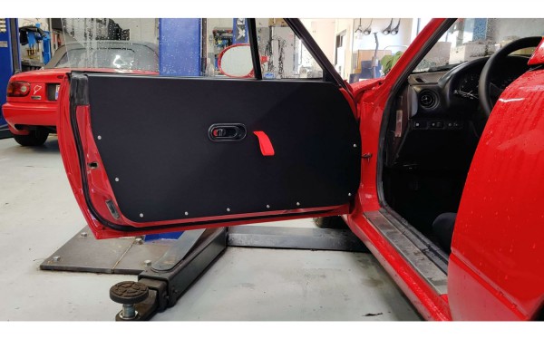 Full door panels